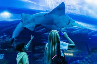 Dubai: Aquarium & Burj Khalifa Level 124 & 125 Kombiticket