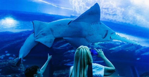 Dubai: Aquarium & Burj Khalifa Levels 124 & 125 Combo Ticket