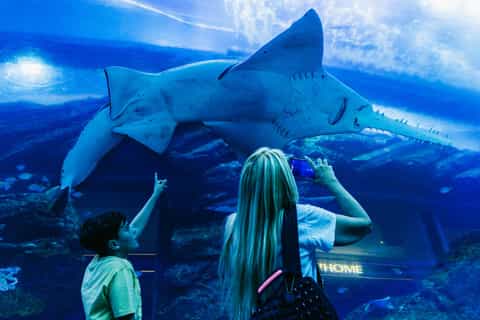 Dubai Aquarium & Burj Khalifa Levels 124 & 125 combo ticket