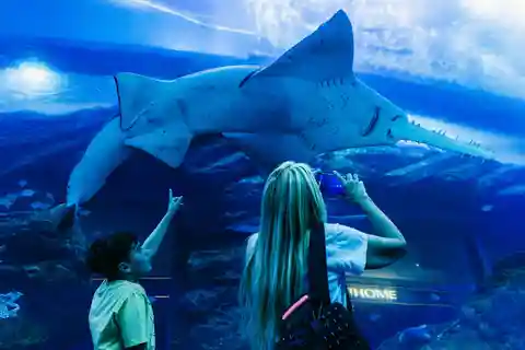 Acquario e Burj Khalifa Livelli 124 e 125 Biglietto cumulativo