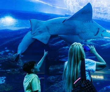 Aquarium & Burj Khalifa Levels 124 & 125 Combo Ticket