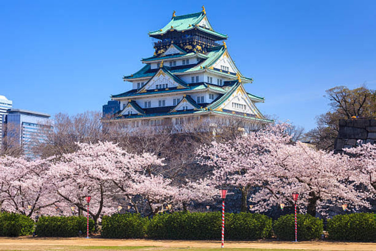 Osaka : visite privée d&#039;une journée avec chauffeur anglophone