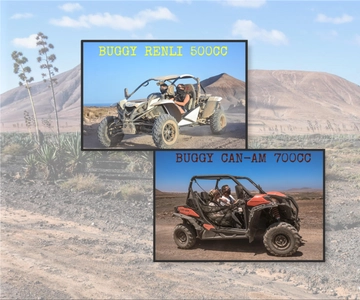 Fuerteventura: Dune Buggy Tour in Northern Fuerteventura