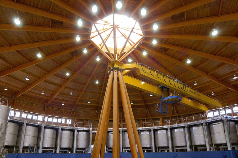 Álava: Viña Real Winery