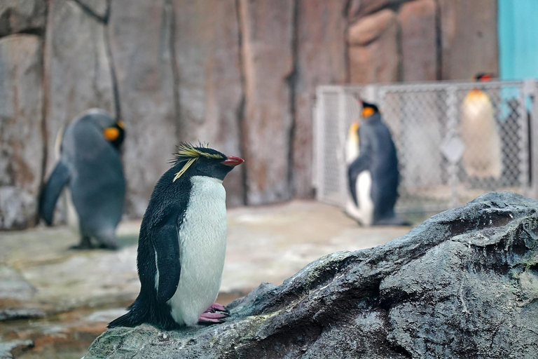 Skip-the-line Montreal Biodome Private Tour with Tickets 2-hour: Montreal Biodome Tour