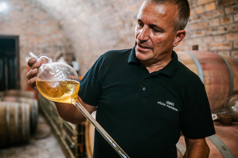 Budapest: Half-Day Wine Tour and Meal in Local Wine Village