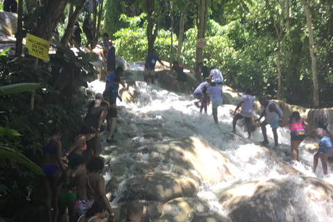 Montego Bay: Horseback Riding and Dunn&#039;s River Falls Tour