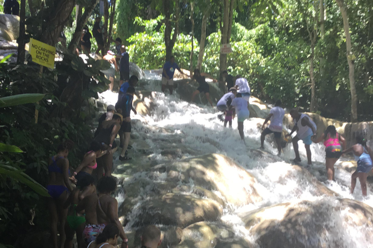 Montego Bay: Horseback Riding and Dunn's River Falls Tour