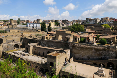 Discover Herculaneum: Guided tour in English of the ancient Roman city Guided tour in English with return train ticket from Naples