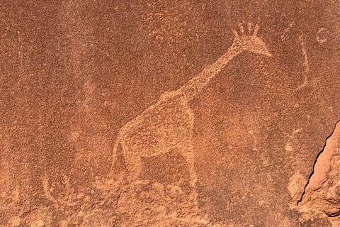 Windhoek: Namibia 12-Day Self-Drive Tour with Lodging