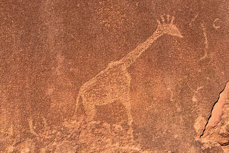 Windhoek: Namibia 12-Day Self-Drive Tour with Lodging