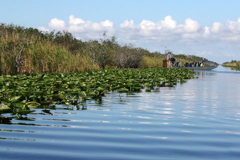 Miami: Everglades Airboat Ride, Wildlife Show & Transport