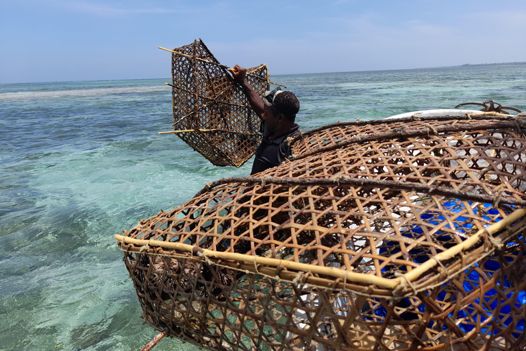 زنجبار: جولة ثقافية أصيلة في جزيرة تومباتو