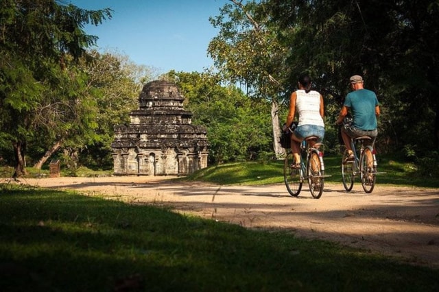 Fietsen in Polonnaruwa: lunch in een rijstveld met Eco Park Safari