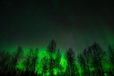 Rovaniemi: Aurora Hunting with 100% Refund. Small Group. Rovaniemi: Aurora Treasure Expedition & Refund (Standard)