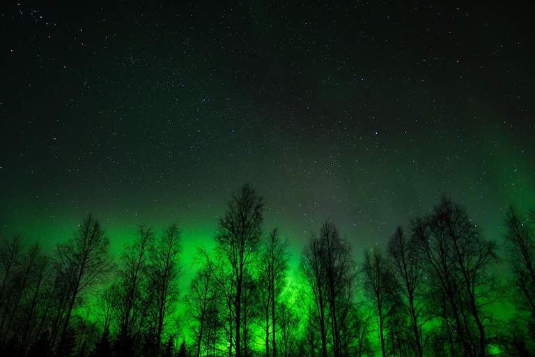 Rovaniemi: Aurora Hunting with 100% Refund. Small Group. Rovaniemi: Aurora Treasure Expedition & Refund (Standard)