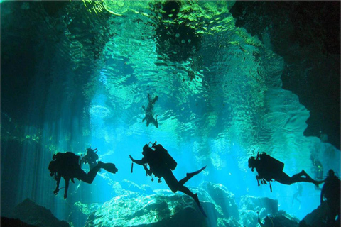 Dyk CenoteDykning i Cenote