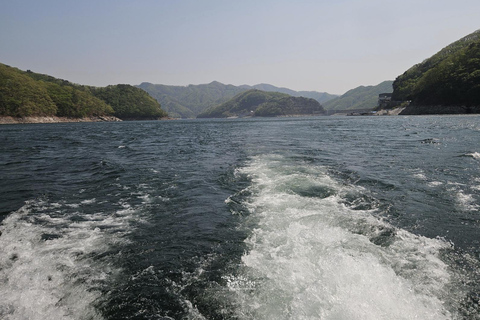 Chuncheon: Temple, Lake Cruise & Forest Escape