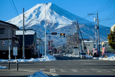 Depuis Tokyo : Excursion privée d'une journée au Mont Fuji et au lac Kawaguchiko