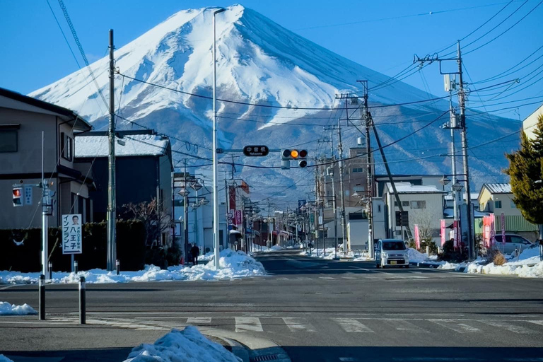 Depuis Tokyo : Excursion privée d'une journée au Mont Fuji et au lac Kawaguchiko