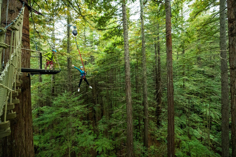 Rotorua: Avventura ad alta quota RedwoodsRotorua: avventura su corde alte in altitudine di Redwoods