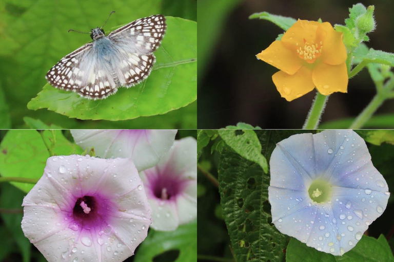 Villanueva: Fundación Loros Sunset Tour with Winetasting