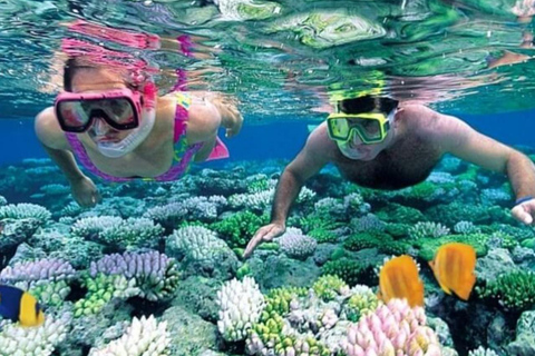 Zanzibar: Wycieczka do delfinów Mnemba, Stone Town i Prison Island