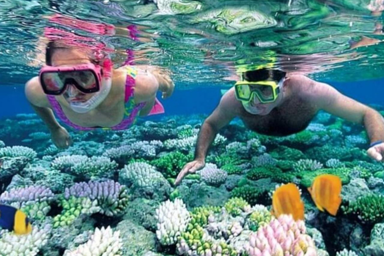 Zanzibar: Wycieczka do delfinów Mnemba, Stone Town i Prison Island