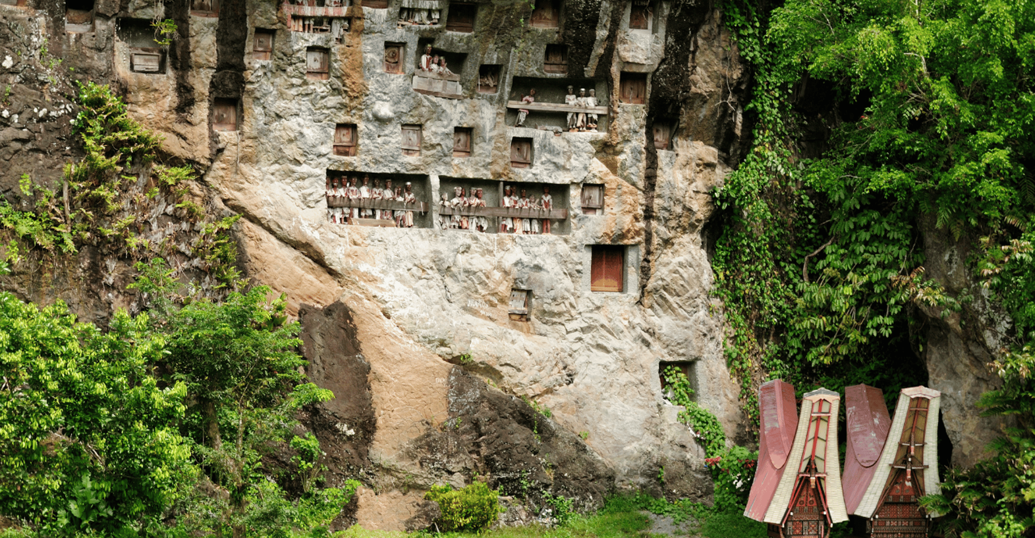 Tana Toraja, Private 3D2N tour in South Sulawesi - Housity