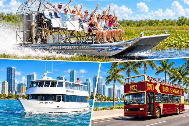 Il meglio di Miami: Everglades, crociera nella baia e tour in autobus scoperto