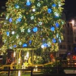 Strasburgo: visita premium del mercatino di Natale | Guida locale ufficiale certificata
