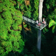 Gold Coast: Tamborine Rainforest Skywalk Entry Ticket