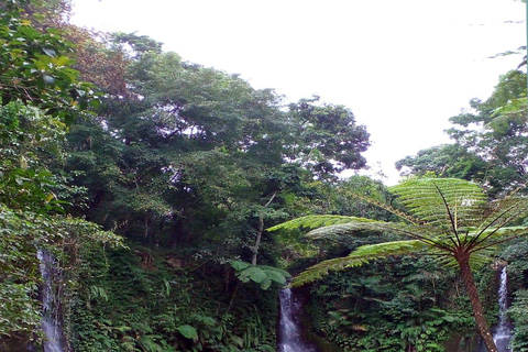 Lombok: Pick-up Port/Airport +Waterfall Tour+ Drop off Hotel Bangsal Port + Waterfall Tour + Drop-off Kuta Lombok Area