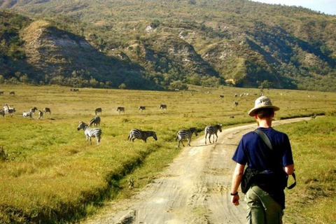 Rencontres sauvages : Aventure dans le parc national de Hell&#039;s Gate