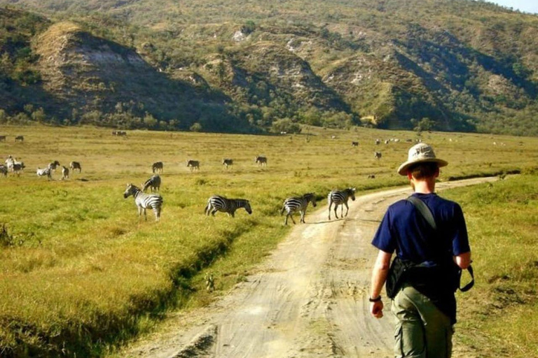 Wild Encounters: Hell's Gate National Park Adventure