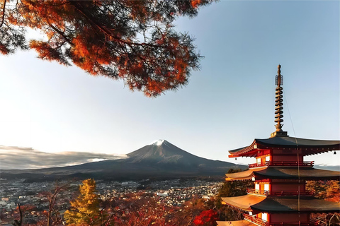 Tokyo: Escursione di un giorno al monte Fuji e al lago Kawaguchiko degna di Instagram