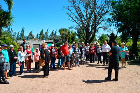Visita alla cantina MoizoVisita alla Cantina Moizo con pranzo