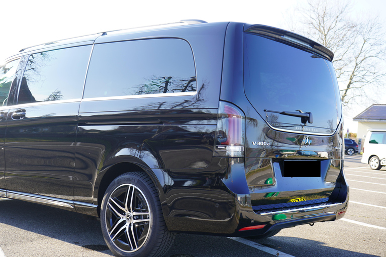 Lucerne: Private Transfer to Geneva with Montreux Stop