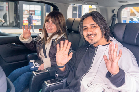 Tokyo: 1-dagars höjdpunkter med privat bil och guide