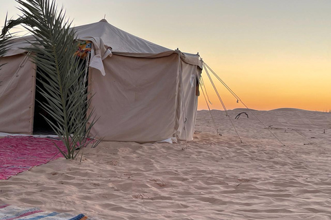 Es Sabria: Pernottamento in un campo nel deserto con cena e preparazione del pane