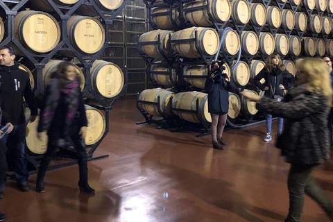 Aranda de Duero: Martín Berdugo Winery - Tour and Tasting