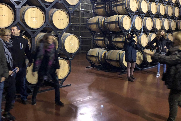 Aranda de Duero: Martín Berdugo Winery - Tour and Tasting