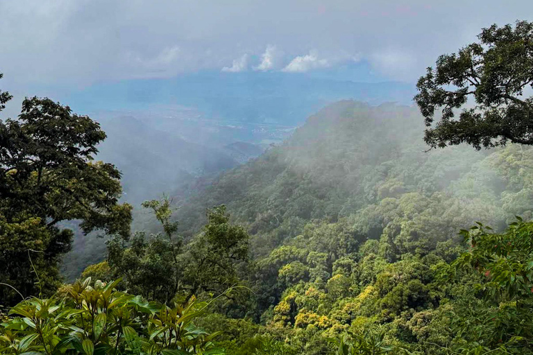 Paraty: Golden Route Guided Hike with Historical Stories Paraty: Golden Route Guided Hike with Historical Stories