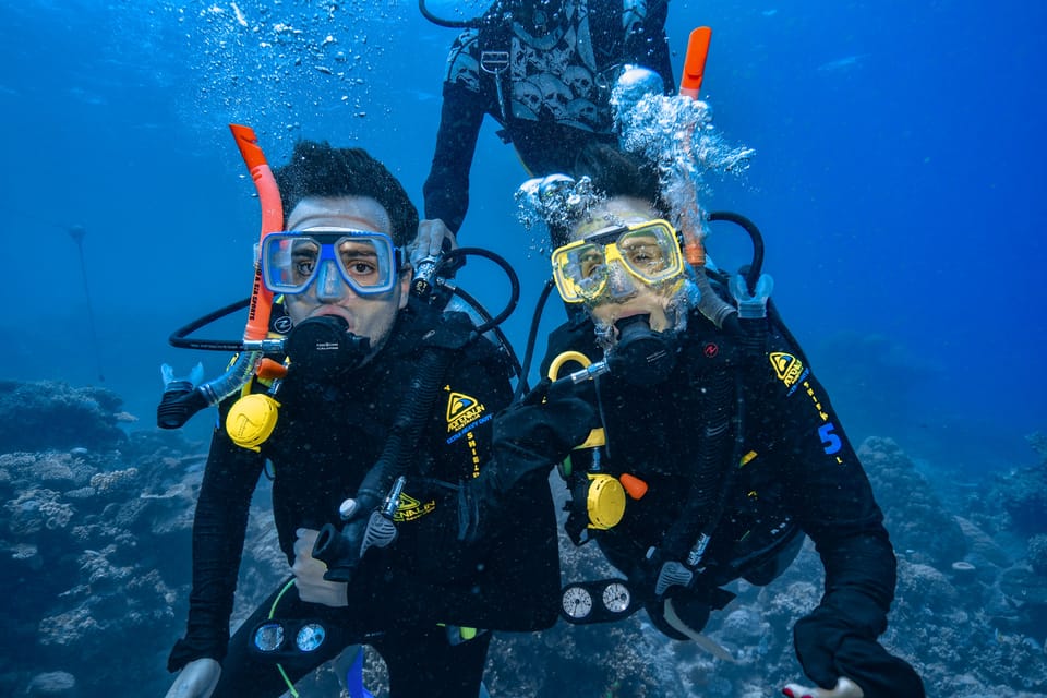 From Cairns: Great Barrier Reef Snorkeling Trip With Lunch | GetYourGuide