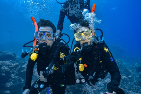 Van Cairns: snorkelervaring bij het Great Barrier ReefVan Cairns: Great Barrier Reef Snorkelcruise & Introduik
