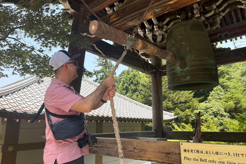 Hiroshima: tour de medio día a la isla de Miyajima con guía