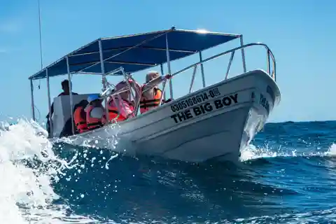 Cabo San Lucas: Tour paseo al Arco + bajada en playa