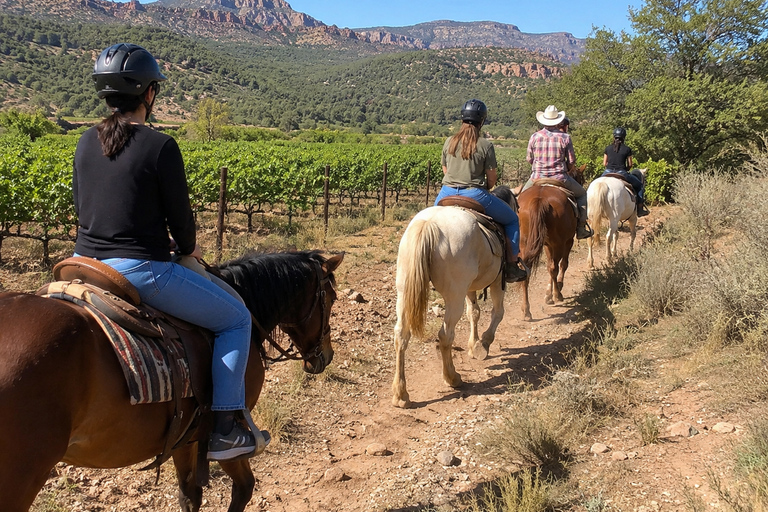 Sedona: Scenic Horseback Ride Through Arizona Wine Country