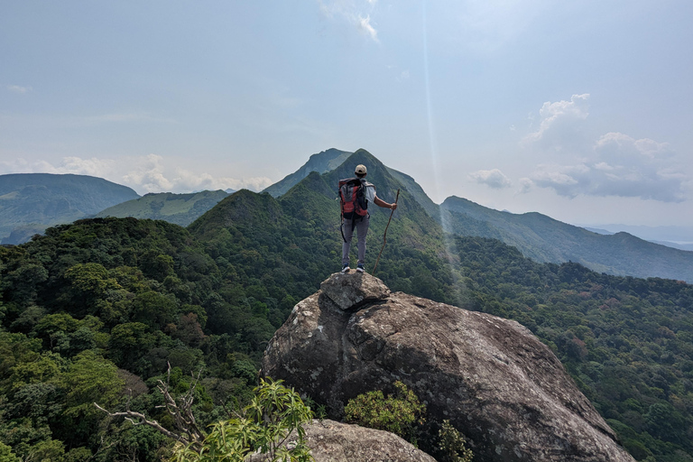 Da Kandy: escursione alle cime gemelle di Kanawiddagala e YahangalaDa Kandy: escursione alle due cime gemelle di Kanawiddagala e Yahangala