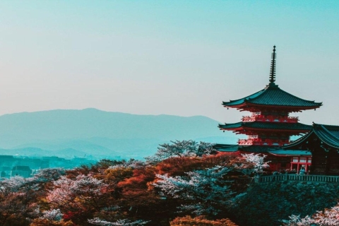 Osaka: Must-see & Hidden Gems Rundgang3 Stunden private Tour